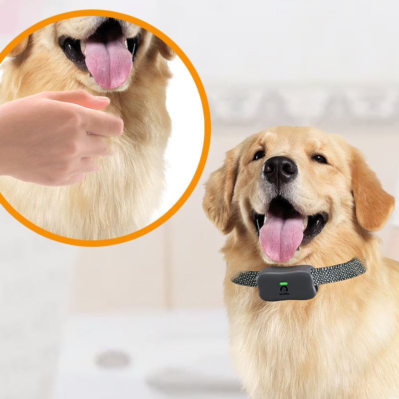 Electric dog training collar 2 Dogs .4000FT Range Dog Training Collar With Remote.Waterproof and Rechargeable with Beep，Vibration，shock,Light and Keypad Lock mode  for Large Medium Small Dogs(X1-2Receivers)