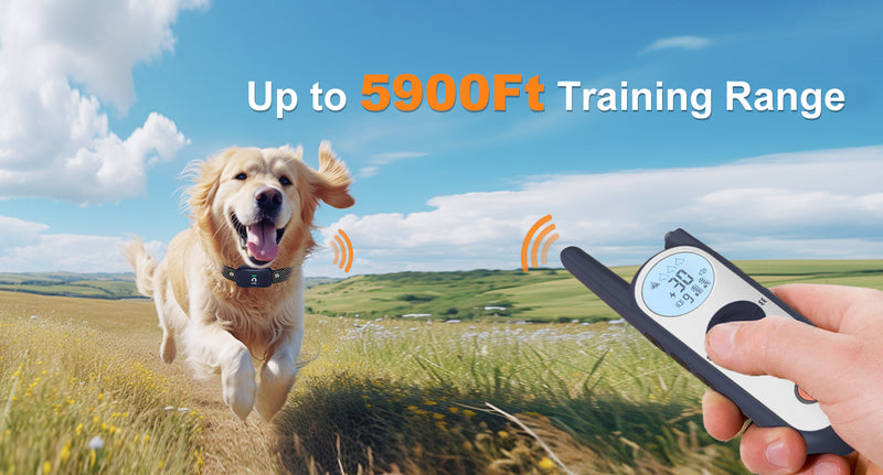 Mimofpet Wireless Dog Fence with Training Remote for 4 Dogs,185 Days Stand Time  Dog Shock Collar with 3 Training Modes,25FT to 3500FT Electric Fence，Keypad Lock,Light and Waterproof for Large Medium Small Dog（X3-4Receivers）